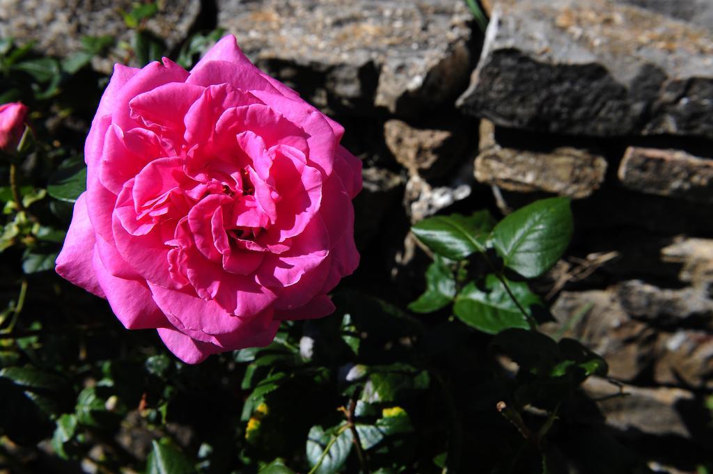 Agriturismo I Monti Semproniano ภายนอก รูปภาพ