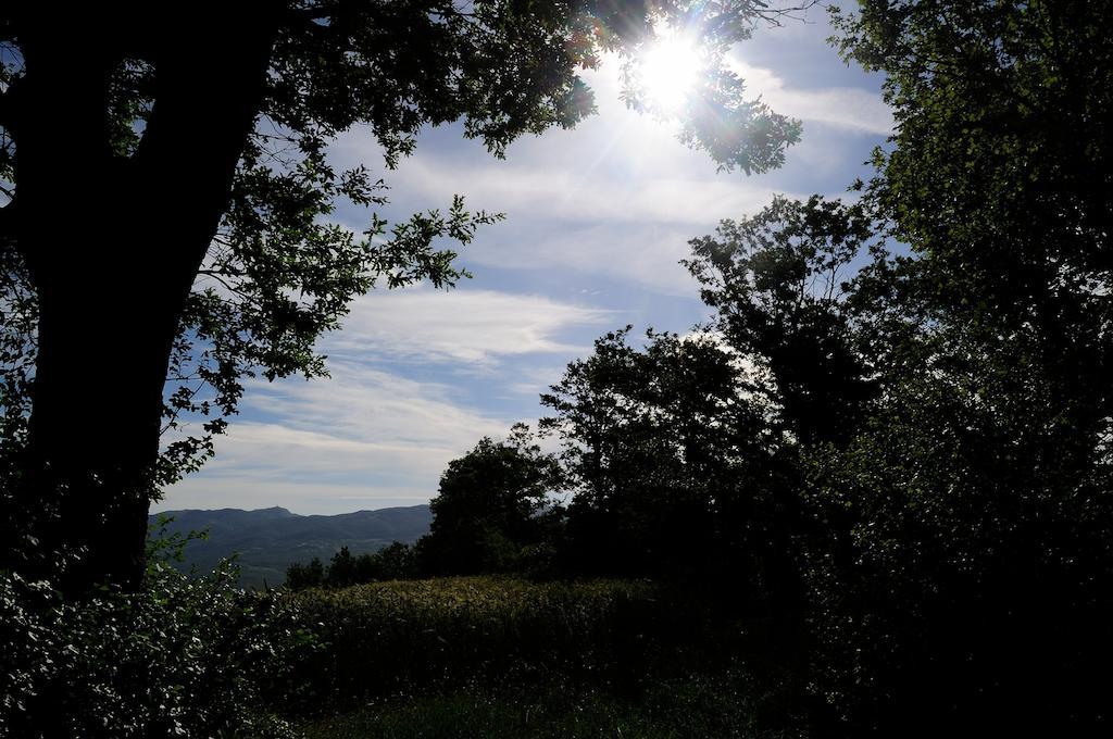 Agriturismo I Monti Semproniano ภายนอก รูปภาพ