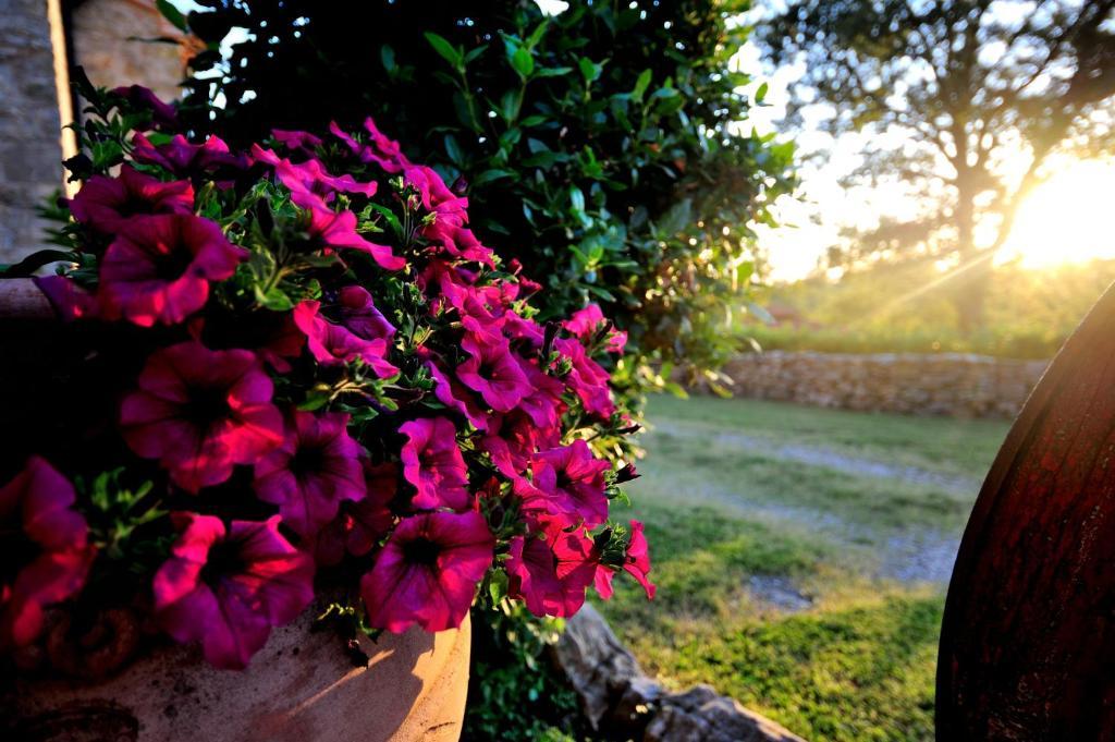 Agriturismo I Monti Semproniano ห้อง รูปภาพ